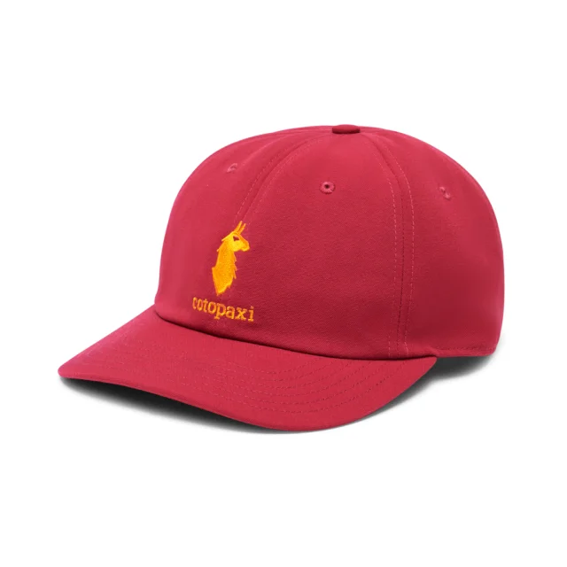 Camping hiking gear tops-Dad Hat